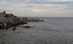 감포 앞바다날씨~