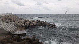 감포 앞바다 날씨와 조황정보