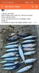 울진 전투낚시백화점고등어볼락전갱이조황입니다