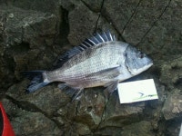 1/13 53.43.41.폰사진은덤!