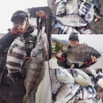 1/5(목) 추자피싱랜드 조황