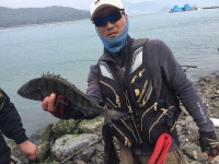 남해대교 인근 감성돔 조황소식 입니다