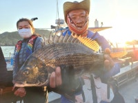 상태도 감성돔 참돔 조황