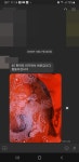 통영스타]올한해 감사합니다(--)(__) 대물 50감성돔외4짜 조황 (출조시간 안내)