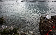 2013. 07. 무늬 첫출조(욕지도)