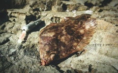 내가 누운 이곳은 ...딱섬