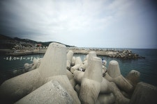 복수전을 꿈꾸며 -동해성대루어!