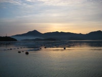 고성 유촌 마을 새벽 풍경