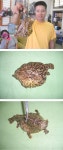 피제이고기와생선의끝판왕 | 이고기 이름이 뭔가요?