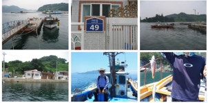 추천합니다 통영 저도 낚시 겸 민박