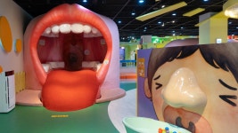 인체마을 | 인천시설공단 어린이과학관>전시관>상설전시관 인천어린이과학관