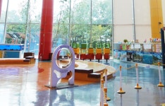 실내 전시물 | 인천시설공단 어린이과학관>전시관>기타전시물 인천어린이과학관