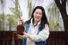 갤러리-도시관리본부 식목행사 내용 | 인천시설공단 홍보관 도시관리본부 식목행사