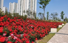 청라호수공원 | 인천시설공단 청라공원>주요 시설안내