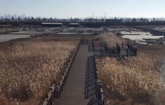 염전체험 | 인천시설공단 씨사이드파크>운영프로그램 안내