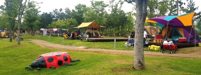 시설현황 | 인천시설공단 송도공원>대관안내>인천송도국제캠핑장