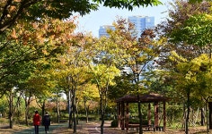해돋이공원 | 인천시설공단 송도공원>주요 시설안내