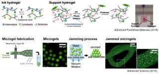 바이오제조 실험실 (Biofabrication laboratory)