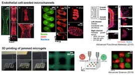 바이오제조 실험실 (Biofabrication laboratory)