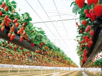 1200年続く幻の湯治の郷　湯郷温泉　季譜の里 - 宿泊予約は＜じゃらんnet＞