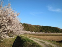 加賀・山代温泉　瑠璃光 - 宿泊予約は＜じゃらんnet＞