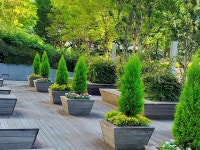 ホテルモントレ ラ・スール大阪 - 宿泊予約は＜じゃらんnet＞