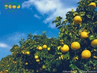 お宿みどこい - 宿泊予約は＜じゃらんnet＞