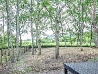 ウェナヴィレッジくじゅう　室宿～はついぼし～ - 宿泊予約は＜じゃらんnet＞