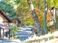 全室温泉付の離れでペットと過ごすひととき　御宿　小笠原 - 宿泊予約は＜じゃらんnet＞