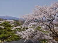 ANAクラウンプラザホテル秋田 by IHG - 宿泊予約は＜じゃらんnet＞