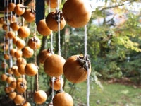 奥阿蘇の宿　やまなみ - 宿泊予約は＜じゃらんnet＞