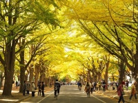 コンフォートホテルＥＲＡ札幌北口（12月18日新規オープン） - 宿泊予約は＜じゃらんnet＞