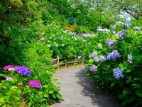 松崎温泉　公共の宿　伊豆まつざき荘 - 宿泊予約は＜じゃらんnet＞