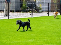 レクトーレ 羽生TERRACE - 宿泊予約は＜じゃらんnet＞