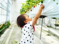 リーズナブルでお食事自慢の宿　ペーパームーン - 宿泊予約は＜じゃらんnet＞