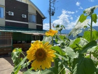 ＣＯＭＥＤＯＲ　ＡＯ．(コメドオル アオ) - 宿泊予約は＜じゃらんnet＞