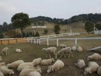 アパホテル〈前橋駅北〉 - 宿泊予約は＜じゃらんnet＞