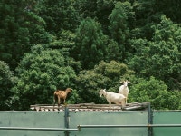 フェアフィールド・バイ・マリオット・岐阜清流里山公園 - 宿泊予約は＜じゃらんnet＞