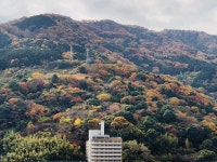 湯河原温泉　元祖みかん風呂の宿　アポロ荘本館 - 宿泊予約は【じゃらんnet】