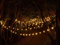 泊まれる公園 INN THE PARK - 宿泊予約は＜じゃらんnet＞