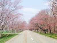 うらかわ優駿ビレッジAERU(アエル) - 宿泊予約は＜じゃらんnet＞