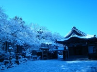 竹林院群芳園 - 宿泊予約は＜じゃらんnet＞