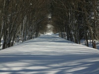 奥屈斜路温泉　ランプの宿　森つべつ - 宿泊予約は＜じゃらんnet＞
