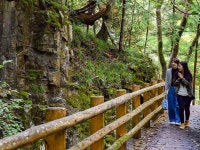 オテル・ド・マロニエ下呂温泉 - 宿泊予約は＜じゃらんnet＞