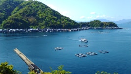 鳥取から金沢へ日本海を行く自転車旅2(城崎温泉～奧伊根～舞鶴) - じゃらん旅行記