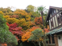鎌倉 人混み避けつつ紅葉さんぽ - じゃらん旅行記