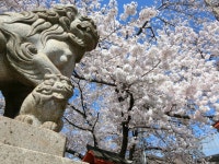 聖護院西町のご当地グルメメニューランキングTOP10 - じゃらんnet 聖護院西町といえばコレ！おすすめのご当地グルメメニュー37選