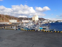 塩釜～女川への旅行　～２年連続、２回目の金華山参拝がメインです～ - じゃらん旅行記