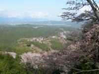 ならまち散策と一度は見ておきたい吉野山の桜景色＆お伊勢参り - じゃらん旅行記