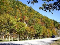 【飛騨・美濃せせらぎ街道（森林公園おおくら滝）の紅葉】アクセス・イベント情報 - じゃらんnet